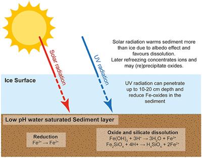 Iron in Glacial Systems: Speciation, Reactivity, Freezing Behavior, and Alteration During Transport